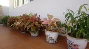 Tangkak Greenville HomeStay - Image 2