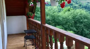 Cabana Baraj Apuseni Mountains - Image 2