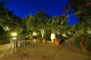 Harry's Paradise - Image 5
