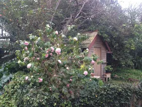 Birch House Koroit - Image 3