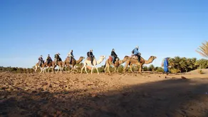 Riad Moha - Image 3