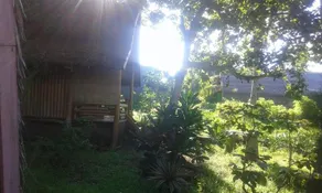 Omah Bamboo - Image 4