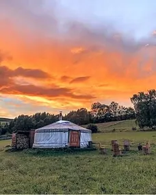 Yurt Jurticka - Image 5