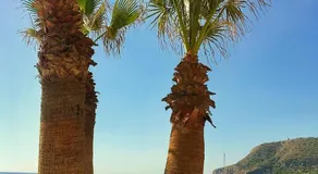 Casa Ken Holiday Home - Image 2