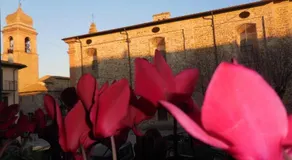 Le Rondini in historic house with garden - Image 3