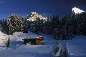 Silvester Hutte - Image 2
