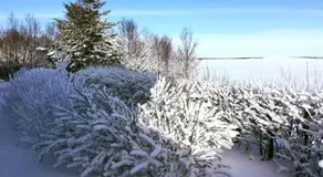 Selalækur Country Guesthouse - Image 3