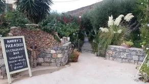 Harry's Paradise - Image 4