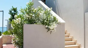 Apartmani Astrado Petrčane - Image 2