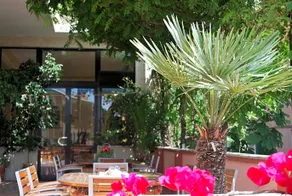 Galleano - Image 5
