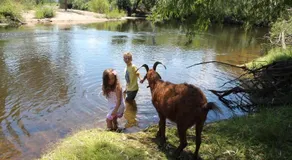 BUFFALO RIVER HOMESTEAD - Image 2