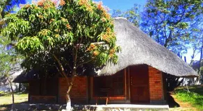 Canto dos pavoes - Image 2