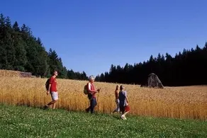 Frühstückspension "Zur blauen Traube" - Image 5