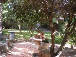 Casa Rural La Aceña de Huerta - Image 5