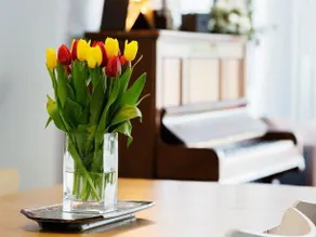 Veeve 3 Bed House On Rokesly Avenue Crouch End - Image 3
