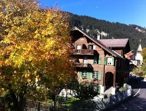 Hotel Wildhorn - Image 5