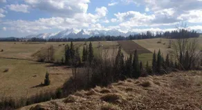 Ku Sosnie - Image 4
