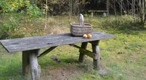 Granly - Image 3