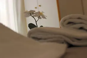 Hotel Neps - Nuova Gestione - Image 2