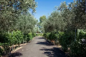 Lodges Mediterranée - Image 4