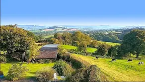 Watchcombe House - Image 2