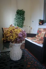 Ilona Vendeghaz Sumeg - Image 3