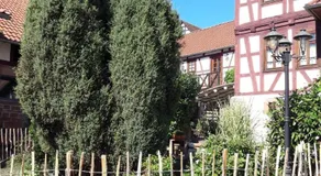 Diebacher Hof - Image 4