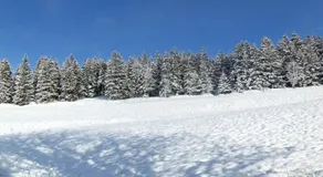 Wunderschöne Ferienwohnung im Haus Schupp mit bester Aussicht - Image 3