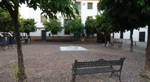 CALLE ABEJAR,PLAZA - Image 2