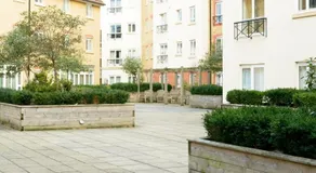 Delta House - Image 5