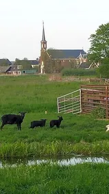 Het Kraaienbosch - Image 3