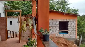 Beija- flor Lençóis - Image 2
