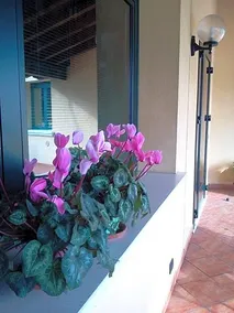 Albergo Ristorante "Al Portico" - Image 4