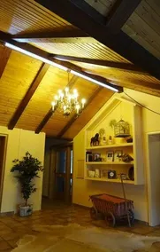 Mieke's Landhaus - Image 4