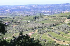 Bed and Breakfast Antica Valpolicella - Image 3