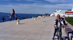 Apartman Cruiser - Image 4