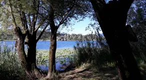 Al lago Guest House - Image 2