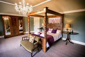 The Elm Tree - Image 4