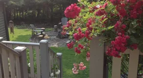 Just B Lodging - Image 4