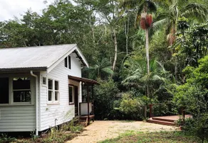 Peaceful Rainforest Wildlife Retreat - Image 1