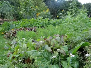 La Clairiere Du Verbamont - Image 3