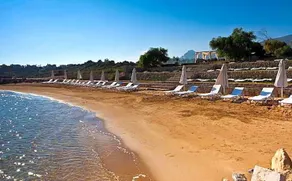 Ada on a Sandy Beach - Image 5