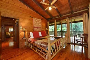 Wait A While Daintree - Image 4