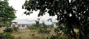 Bagh Tola - Image 2