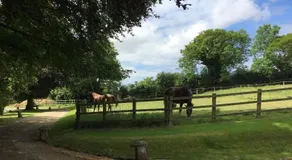 Higher Waterston Farm - Image 2