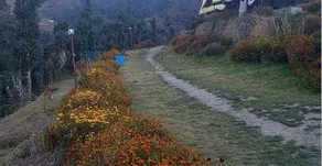 Camp O Royale - Image 2