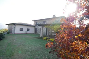 I Cipressi - Image 2