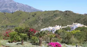 Altos La Quinta Apartment - Image 3