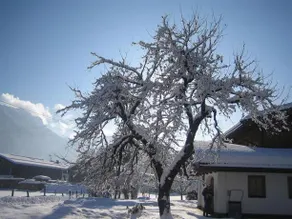 Pension Schwendtner - Image 5