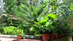 Karthika Plaza Resort - Image 5